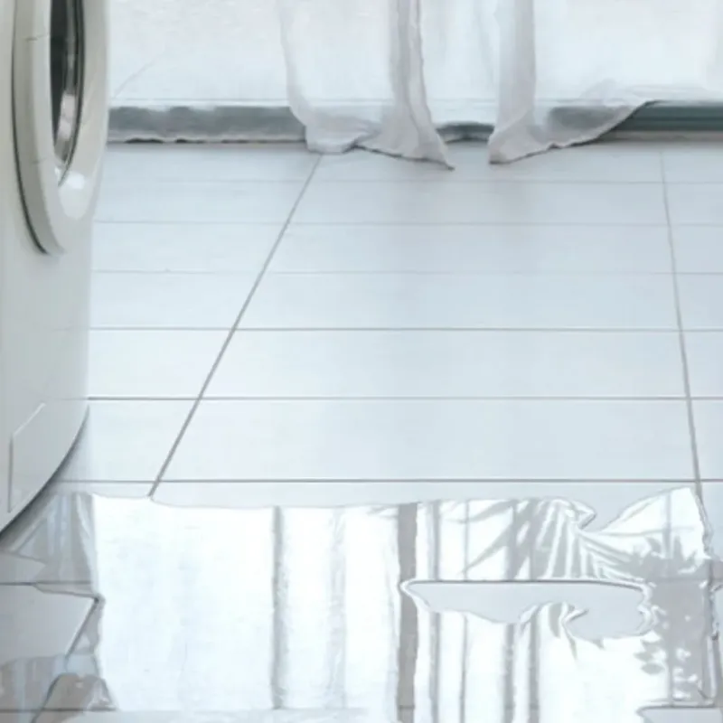 Appliance Leak Cleanup in West Monroe, MI