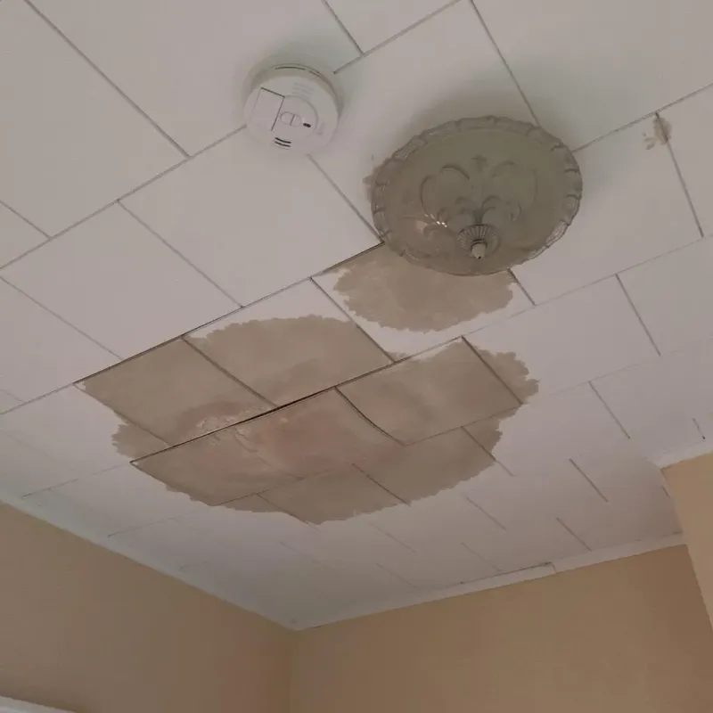 Ceiling Water Damage Repair in West Monroe, MI